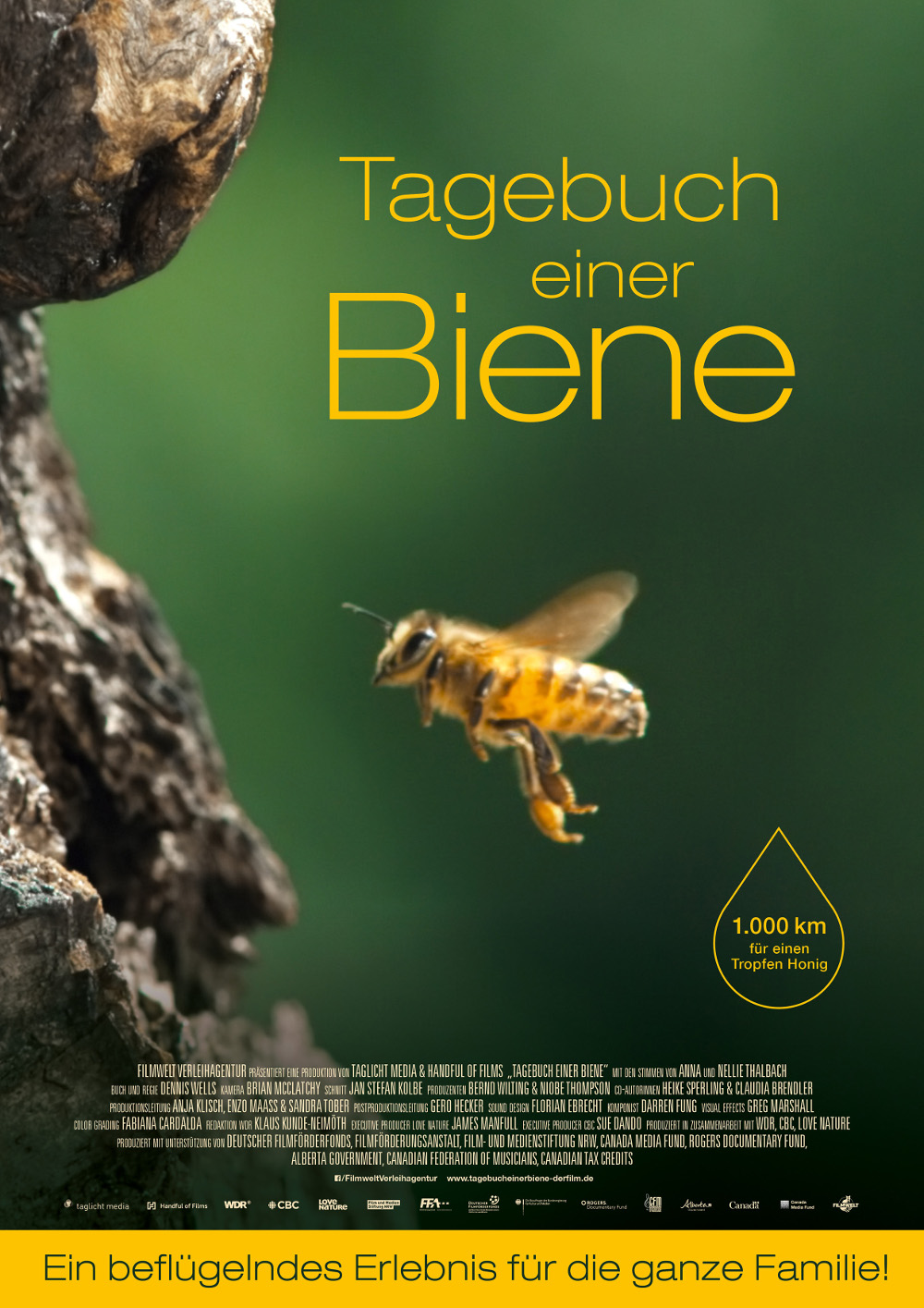 TAGEBUCH EINER BIENE