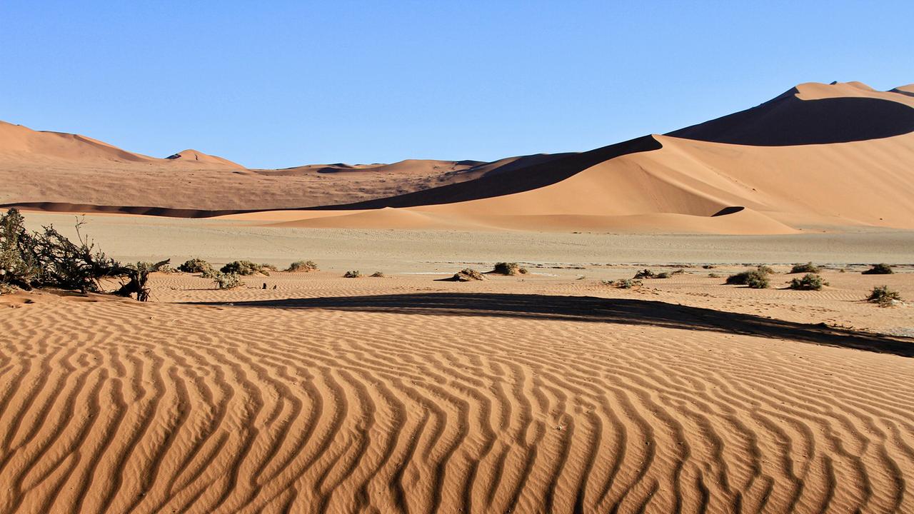 Namibia Forum Kleinmachnow - Film-Matinée und Gespräch "Namibias Naturwunder "