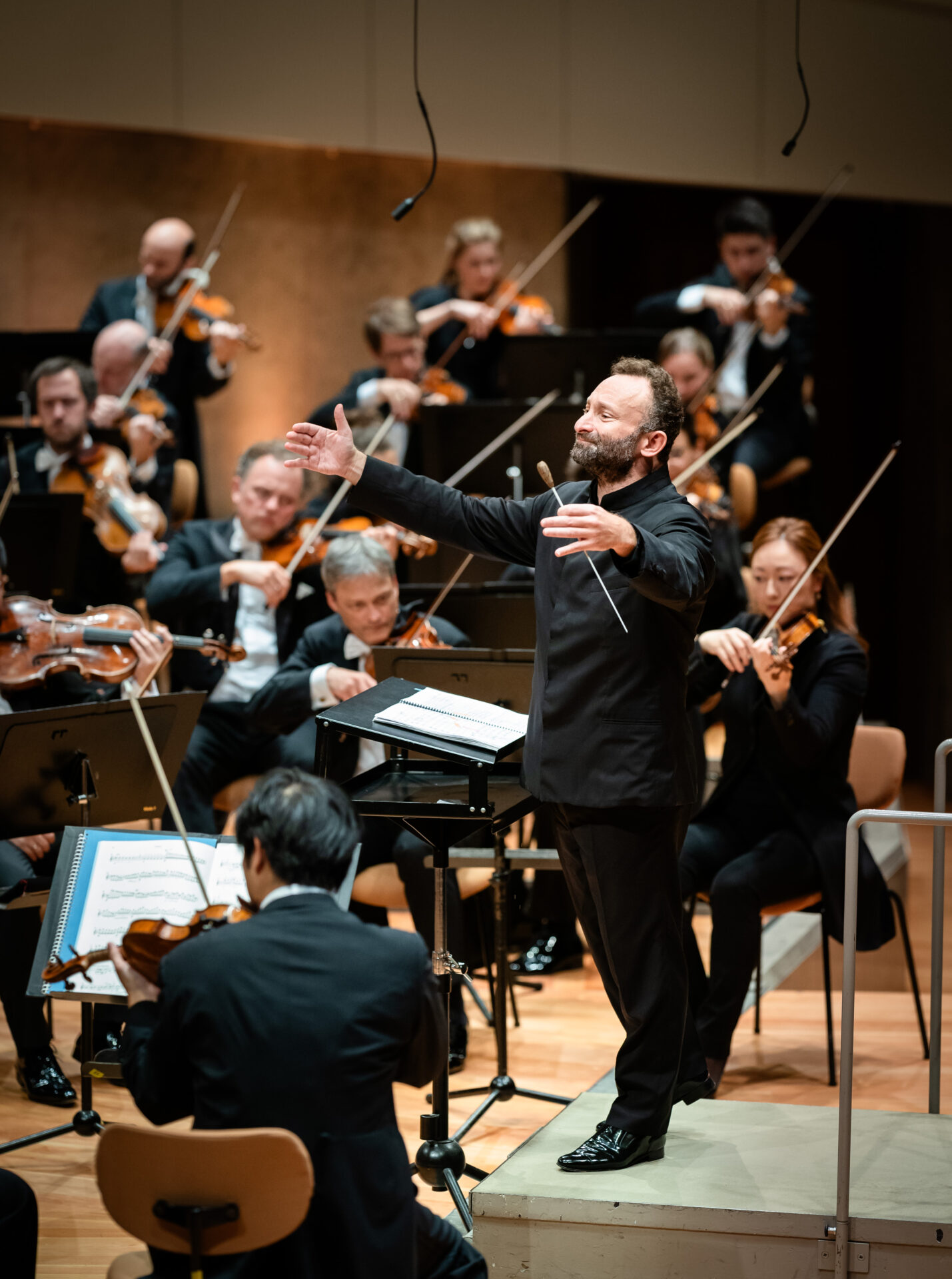 BERLINER PHILHARMONIKER - DAS SILVESTERKONZERT