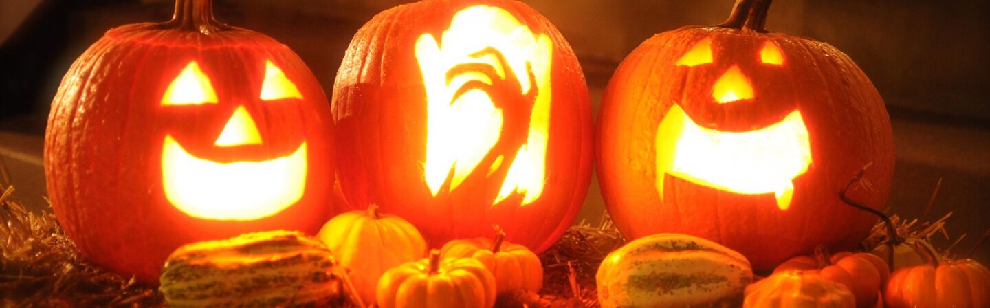 rescueram3-pumpkin-2327488_1920